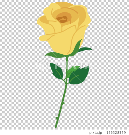 黄色のバラのイラスト 黄色のバラのイラスト 136328559