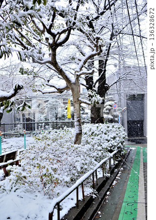 東京都渋谷区 代々木上原駅周辺 小雪の舞う閑静な高級住宅街 東京都渋谷区 代々木上原駅周辺 小雪の舞う閑静な高級住宅街 136328672