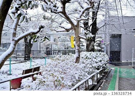 東京都渋谷区　代々木上原駅周辺 小雪の舞う閑静な高級住宅街 136328734