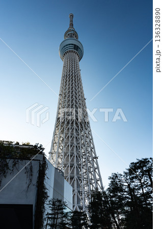 東京スカイツリーがそびえ立つ　東京都墨田区押上 136328890