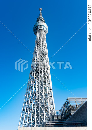東京スカイツリーと綺麗な青空　東京都墨田区押上 136328896