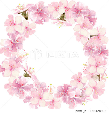 Cherry blossom wreath, hand-painted watercolor flowers circular frame, isolated on white background. Elegant spring border perfect for wedding design, invitations, greeting cards and romantic decor 136328906