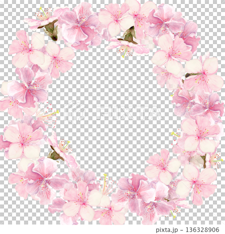 Cherry blossom wreath, hand-painted watercolor flowers circular frame, isolated on white background. Elegant spring border perfect for wedding design, invitations, greeting cards and romantic decor 136328906