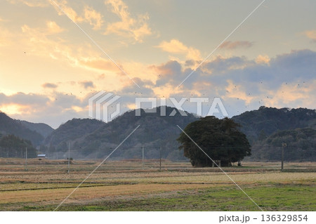 小原神社の夕景　4 136329854