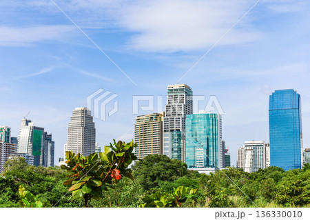緑の多い都市風景 136330010