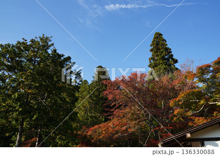 京都高雄神護寺の楓が紅葉している境内の風景 136330088