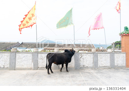 香港　塔門島の海と町並み 136331404