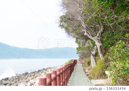 香港　塔門島の海と町並み 136331434