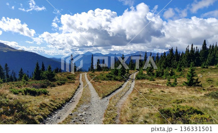 分かれ道、選択 分かれ道、選択 136331501