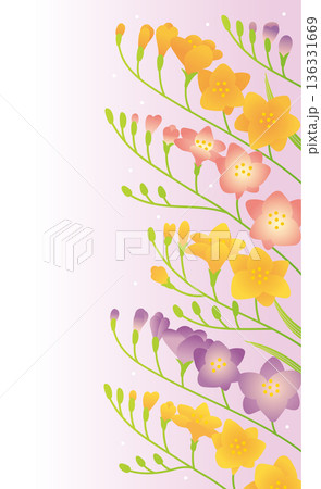 フリージアの背景用デザインフレーム（カラフル） 136331669