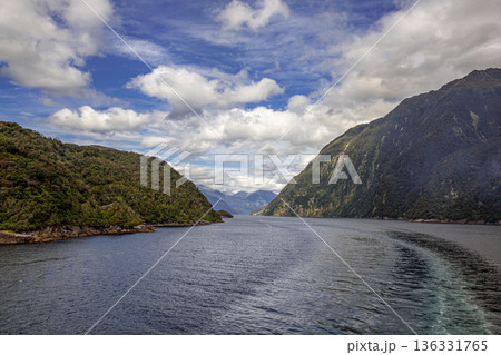 フィヨルドランド国立公園 136331765