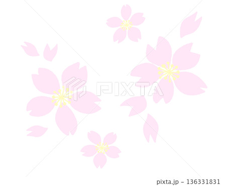 淡いピンクの桜の花と花びらのミニマルイラスト 淡いピンクの桜の花と花びらのミニマルイラスト 136331831