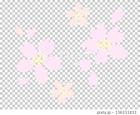 A gentle illustration of pale pink and beige cherry blossoms and petals 136331833