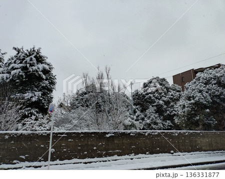 雪の三鷹市住宅街 136331877