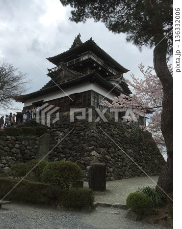 春の丸岡城 136332006