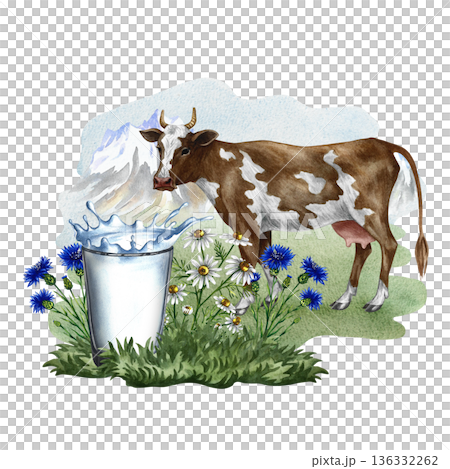 Cow's milk. A glass of milk and wildflowers in a pasture with a cow. Hand-drawn watercolor illustration. Perfect for advertising dairy products, banners, posters, packaging, labels, and more. Cow's milk. A glass of milk and wildflowers in a pasture with a cow. Hand-drawn watercolor illustration. Perfect for advertising dairy products, banners, posters, packaging, labels, and more. 136332262