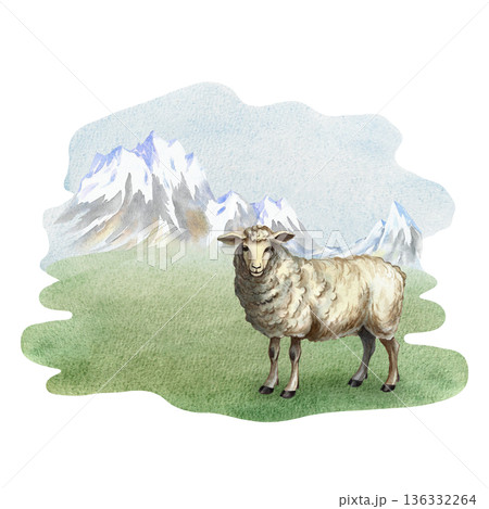 A sheep in a mountain landscape. Hand-drawn watercolor illustration. Perfect for creating backgrounds, banners, posters, packaging designs, labels, and more. 136332264