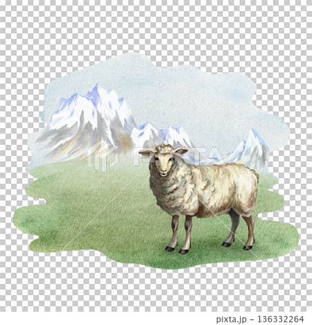 A sheep in a mountain landscape. Hand-drawn watercolor illustration. Perfect for creating backgrounds, banners, posters, packaging designs, labels, and more. 136332264