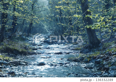 森の中を流れる小川 136332289