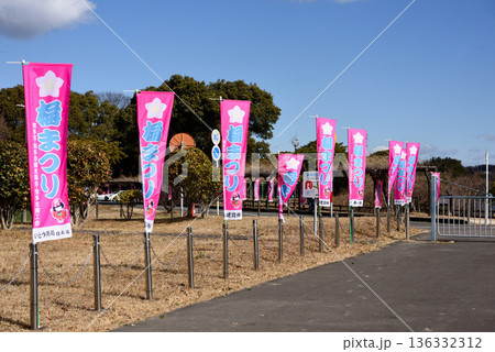 知多市佐布里　梅まつり 136332312