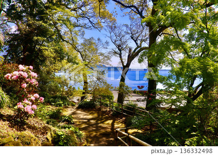 仙巌園・遊歩道からの桜島（鹿児島県・鹿児島市） 136332498