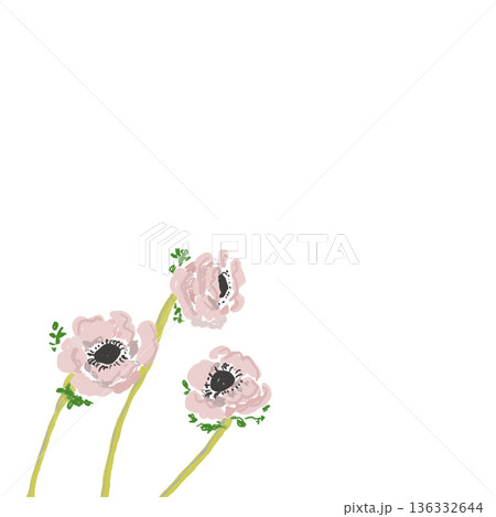 水彩風手書きイラストコーナー素材　ピンクのアネモネ三輪 136332644
