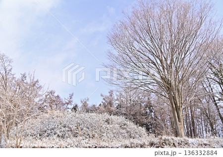 雪化粧の越し将軍塚古墳 136332884