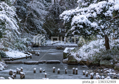 雪景色の森の中の池 136332909