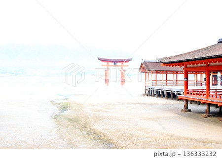 【世界遺産】厳島神社から見る大鳥居 【世界遺産】厳島神社から見る大鳥居 136333232
