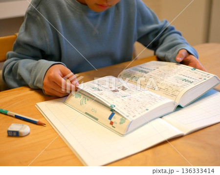 辞書を使って勉強する小学生 136333414
