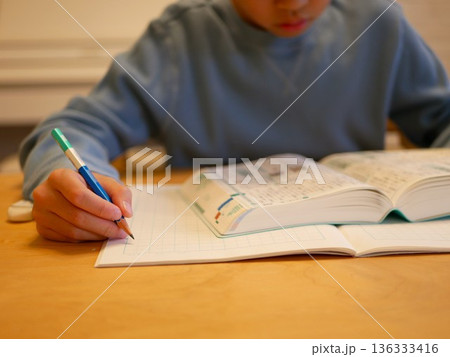 辞書を使って勉強する小学生 136333416