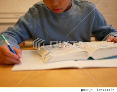 辞書を使って勉強する小学生 136333417