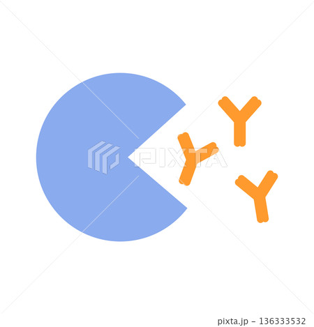 アレルゲンを排除するためlgE抗体を作るリンパ球 136333532