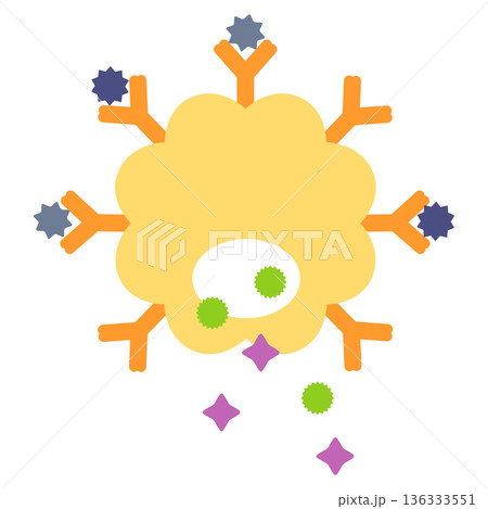 肥満細胞　アレルゲンとlgE抗体が結合して、ヒスタミンやロイコトリエンが排出される 136333551