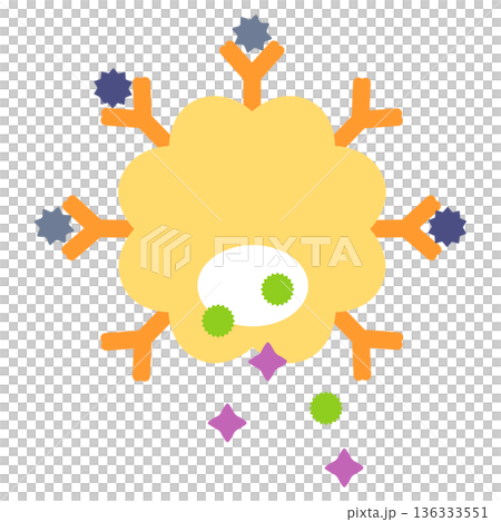 肥満細胞　アレルゲンとlgE抗体が結合して、ヒスタミンやロイコトリエンが排出される 136333551
