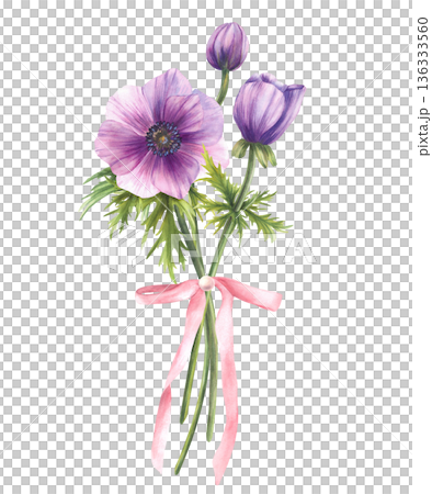 Purple anemones flowers bouquet with green leaves and a soft pink ribbon bow. Watercolor elegant illustration isolated from background for greeting cards, weddings, birthdays, Mother's, Women's Day. Purple anemones flowers bouquet with green leaves and a soft pink ribbon bow. Watercolor elegant illustration isolated from background for greeting cards, weddings, birthdays, Mother's, Women's Day. 136333560