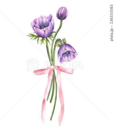 Watercolour purple anemones flowers bouquet with green leaves and a soft pink ribbon bow. Elegant floral illustration on isolated white background for greeting cards, weddings, birthdays, Mother's Day 136333563