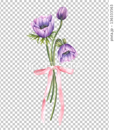 Watercolour purple anemones flowers bouquet with green leaves and a soft pink ribbon bow. Elegant floral illustration on isolated white background for greeting cards, weddings, birthdays, Mother's Day 136333563
