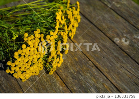 Herbal alternative medicine, medicinal herb Tanacetum for phytotherapy on natural wooden background with copy space 136333759