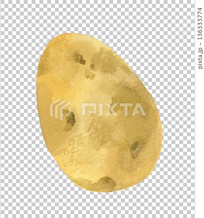 Potato (single item) Hand-drawn watercolor illustration of vegetables Potato (single item) Hand-drawn watercolor illustration of vegetables 136333774