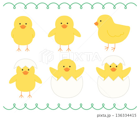 かわいいひよこのベクターイラストセット 136334415