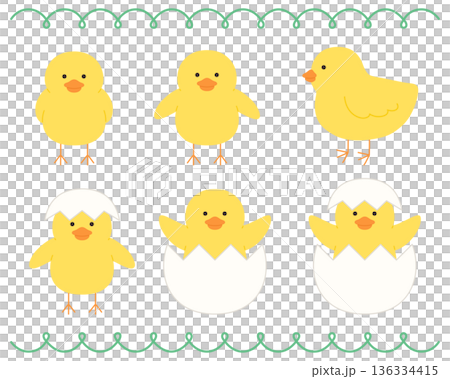 かわいいひよこのベクターイラストセット 136334415