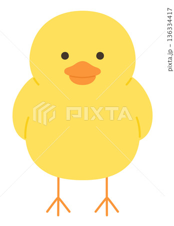 かわいいひよこのベクターイラスト 136334417