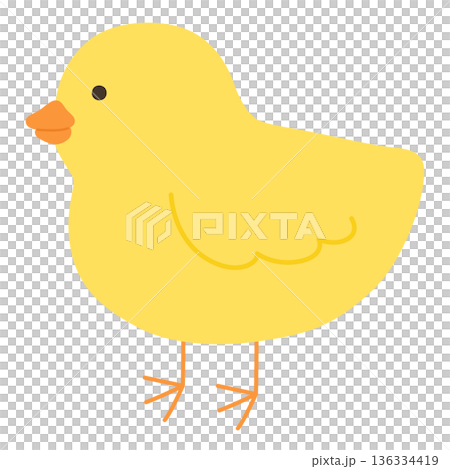 可愛的小雞矢量圖 136334419