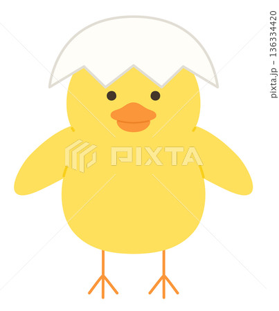 かわいいひよこと卵のベクターイラスト 136334420