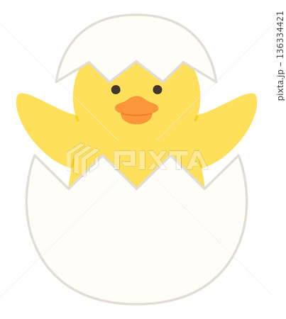 かわいいひよこと卵のベクターイラスト 136334421
