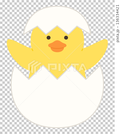 かわいいひよこと卵のベクターイラスト 136334421