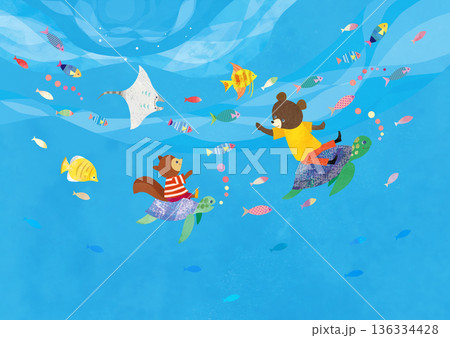 海の中 海の中 136334428