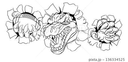 Crocodile Dinosaur Alligator Football Sport Mascot 136334525