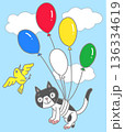Ballooncat 136334619